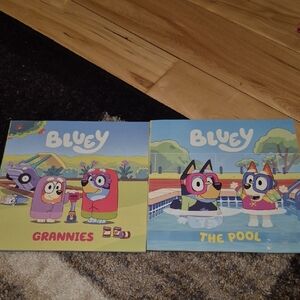 Bluey Grannies and The Pool Book Set - Colorful Kids' Stories